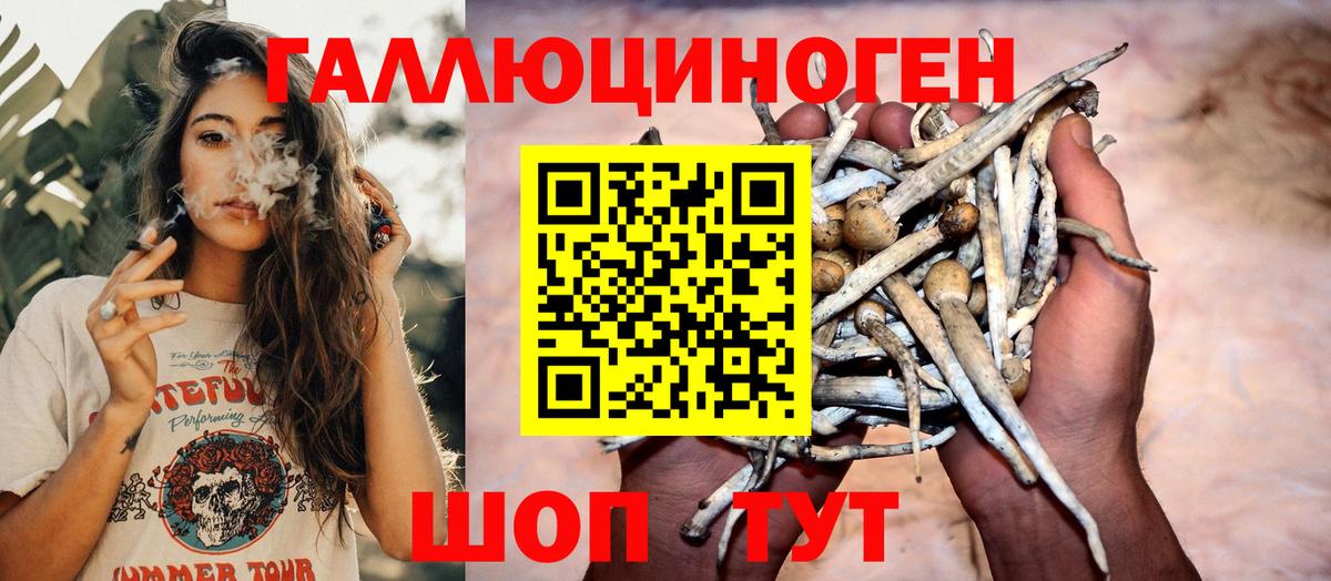 цены   Вход с VPN  Галлюциногенные грибы мухоморы  Кропоткин  Псилоцибиновые грибы Psilocybe 