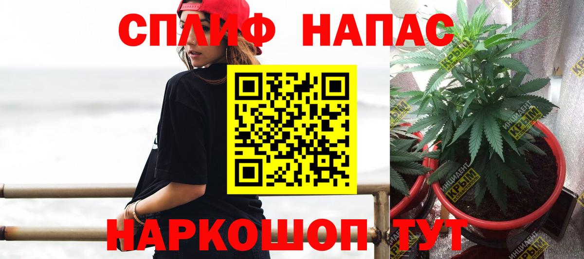 Кропоткин  Каннабис планчик  Вход с VPN  Канабис Bruce Banner  Бошки Шишки Amnesia  Конопля семена 